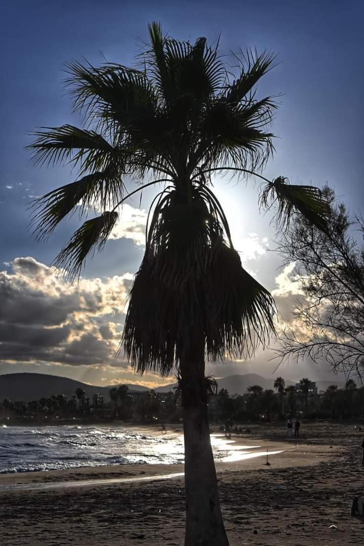 Vacances En Paradis Saint-Raphaël Esterno foto